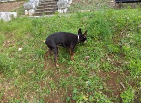 Photobucket - Video and Image Hosting