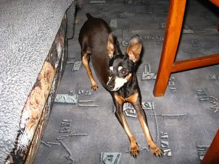 Photo Sharing and Video Hosting at Photobucket