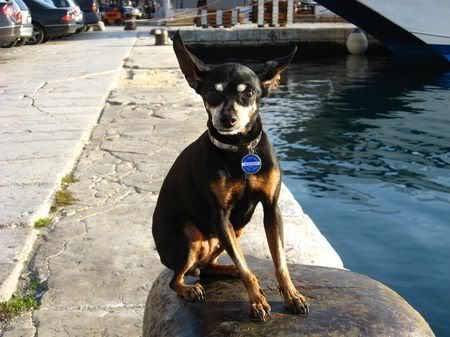 Photo Sharing and Video Hosting at Photobucket