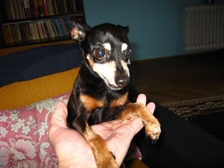 Photo Sharing and Video Hosting at Photobucket