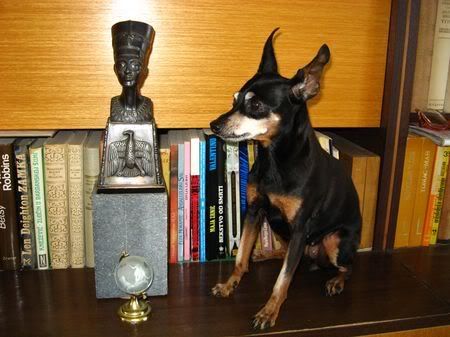 Photo Sharing and Video Hosting at Photobucket