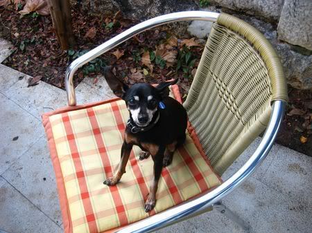 Photo Sharing and Video Hosting at Photobucket