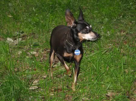 Photo Sharing and Video Hosting at Photobucket