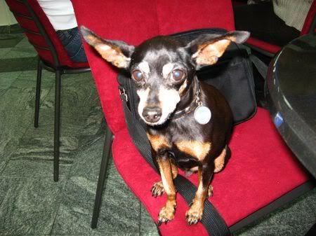 Photo Sharing and Video Hosting at Photobucket