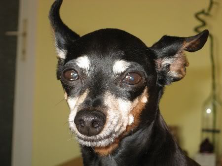 Photo Sharing and Video Hosting at Photobucket