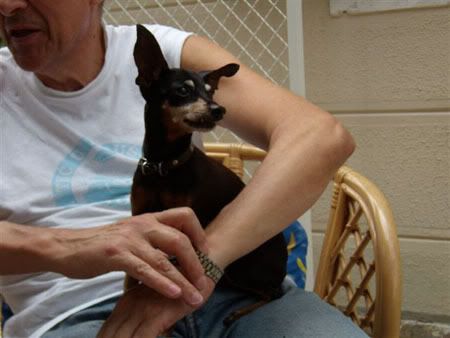 Photo Sharing and Video Hosting at Photobucket