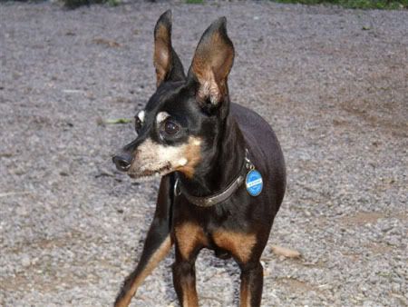 Photo Sharing and Video Hosting at Photobucket