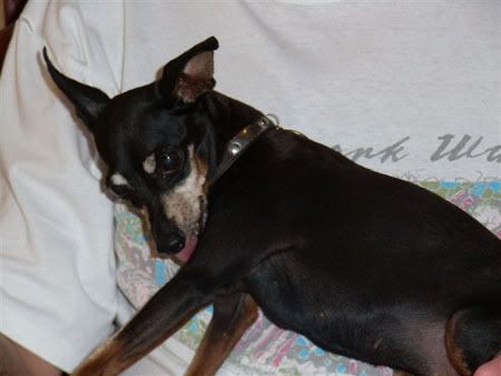 Photo Sharing and Video Hosting at Photobucket