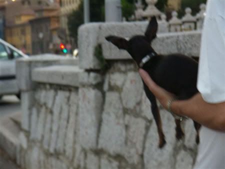 Photo Sharing and Video Hosting at Photobucket