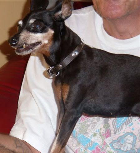 Photo Sharing and Video Hosting at Photobucket