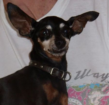 Photo Sharing and Video Hosting at Photobucket