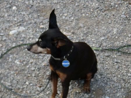 Photo Sharing and Video Hosting at Photobucket