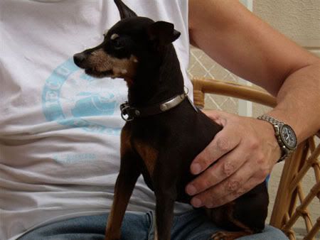 Photo Sharing and Video Hosting at Photobucket