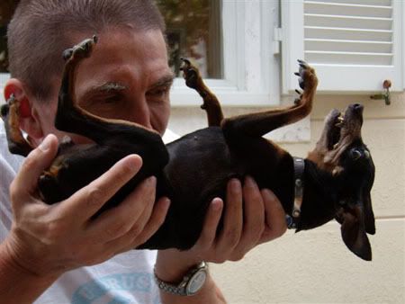 Photo Sharing and Video Hosting at Photobucket