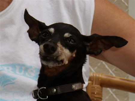 Photo Sharing and Video Hosting at Photobucket