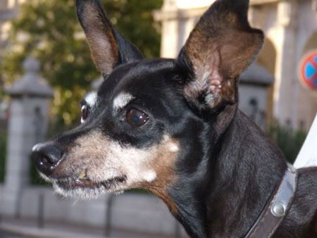 Photo Sharing and Video Hosting at Photobucket