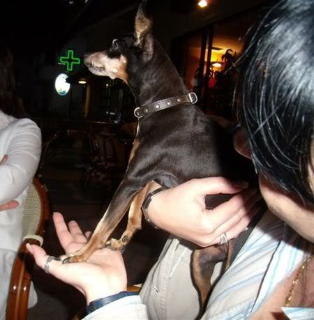 Photo Sharing and Video Hosting at Photobucket