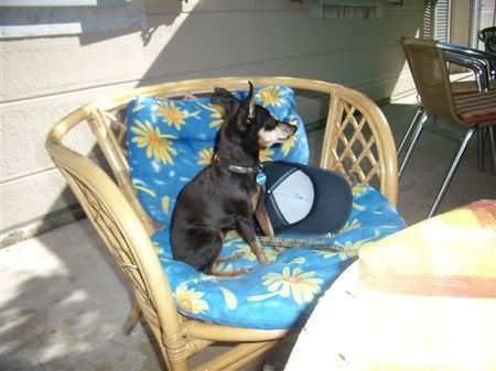 Photo Sharing and Video Hosting at Photobucket