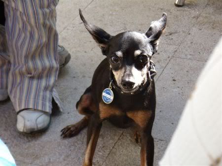 Photo Sharing and Video Hosting at Photobucket