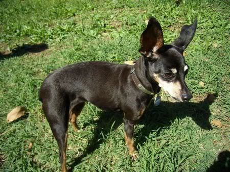 Photo Sharing and Video Hosting at Photobucket