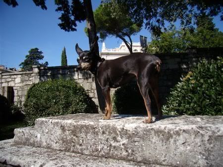 Photo Sharing and Video Hosting at Photobucket