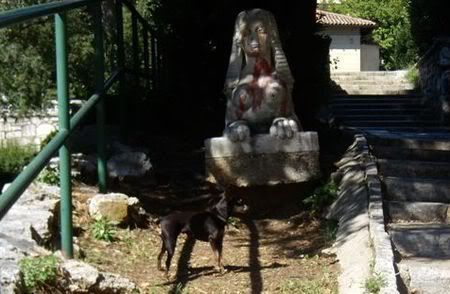 Photo Sharing and Video Hosting at Photobucket