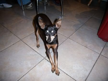 Photo Sharing and Video Hosting at Photobucket