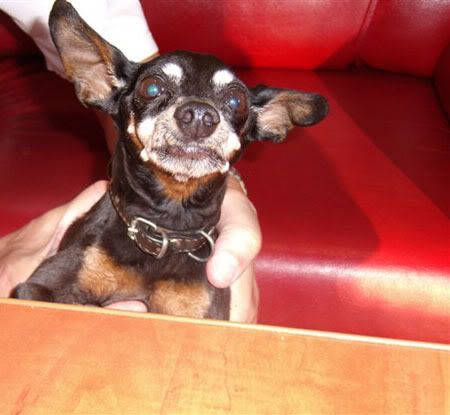 Photo Sharing and Video Hosting at Photobucket