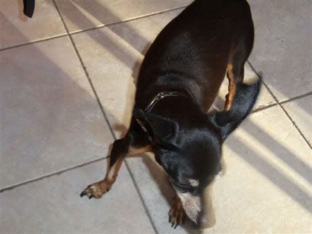 Photo Sharing and Video Hosting at Photobucket