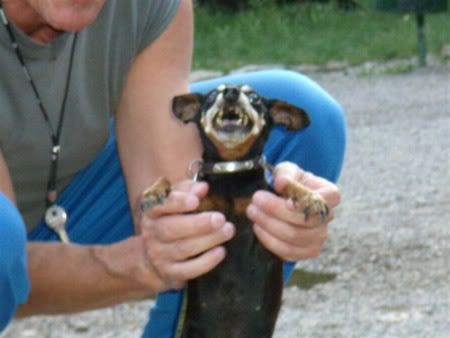 Photo Sharing and Video Hosting at Photobucket