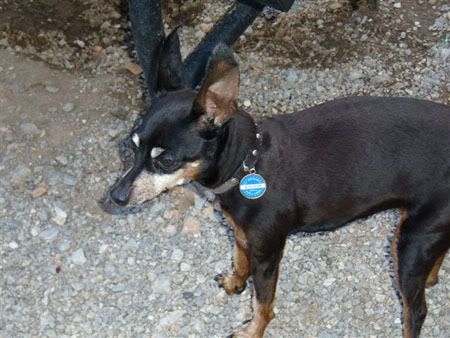 Photo Sharing and Video Hosting at Photobucket