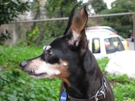 Photo Sharing and Video Hosting at Photobucket