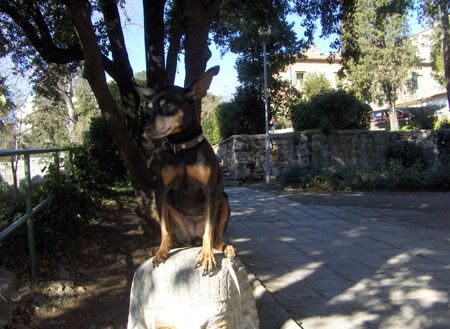 Photobucket - Video and Image Hosting