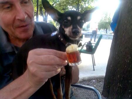 Photo Sharing and Video Hosting at Photobucket