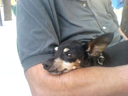 Photo Sharing and Video Hosting at Photobucket