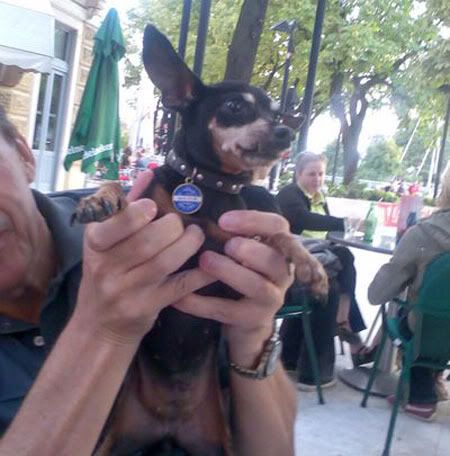 Photo Sharing and Video Hosting at Photobucket