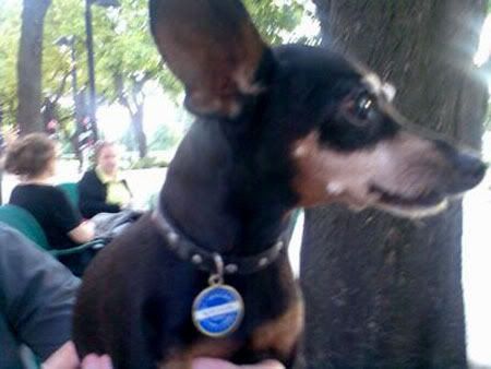 Photo Sharing and Video Hosting at Photobucket