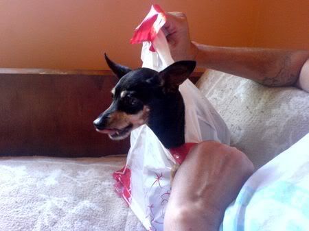 Photo Sharing and Video Hosting at Photobucket