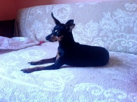 Photo Sharing and Video Hosting at Photobucket