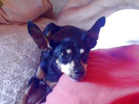 Photo Sharing and Video Hosting at Photobucket