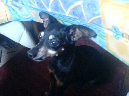 Photo Sharing and Video Hosting at Photobucket