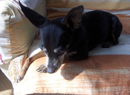 Photo Sharing and Video Hosting at Photobucket