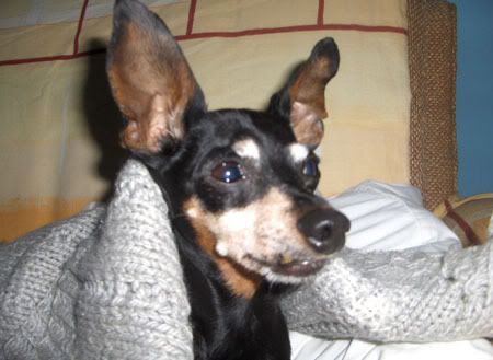 Photobucket - Video and Image Hosting