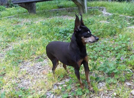 Photo Sharing and Video Hosting at Photobucket