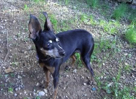 Photobucket - Video and Image Hosting