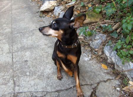 Photobucket - Video and Image Hosting