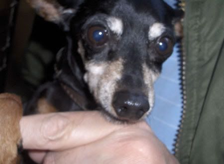 Photobucket - Video and Image Hosting