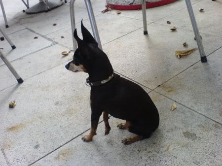 Photo Sharing and Video Hosting at Photobucket