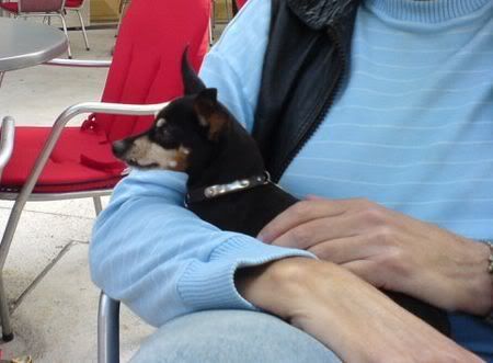 Photo Sharing and Video Hosting at Photobucket