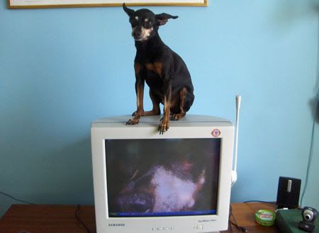 Photo Sharing and Video Hosting at Photobucket